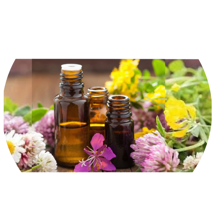 Image hover effect image